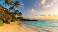 Playa tropical con palmeras al atardecer